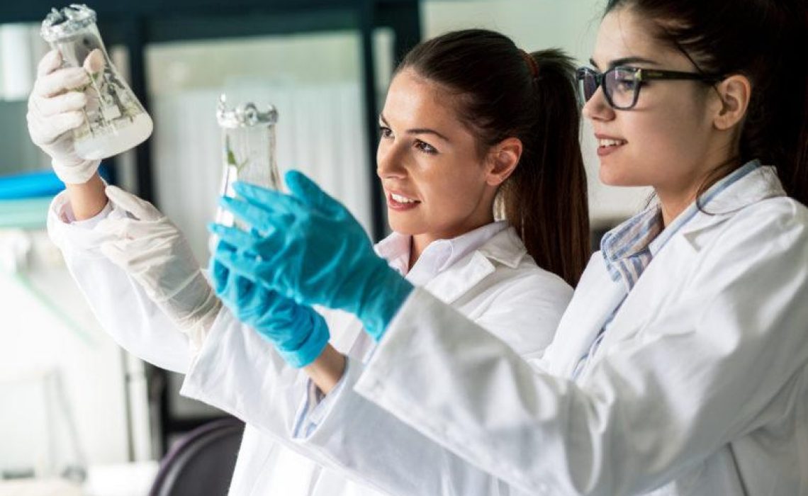 Ghostwriting Hausarbeit schreiben lassen Biologie